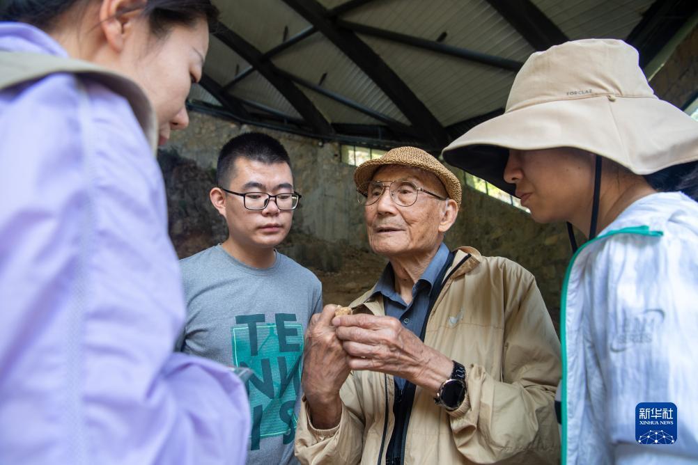 送金币棋牌手游